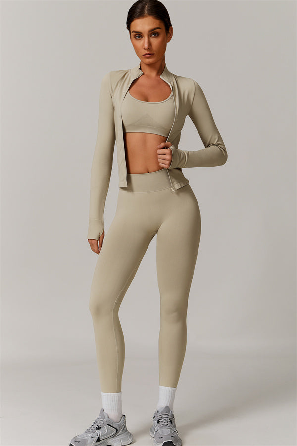 Velvet |  Leggings